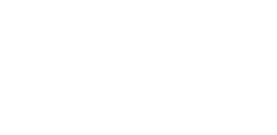 Lion Roofing & Gutters logo