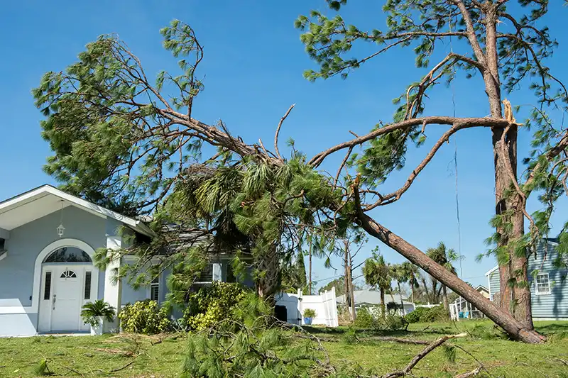 Storm Damage Restoration service
